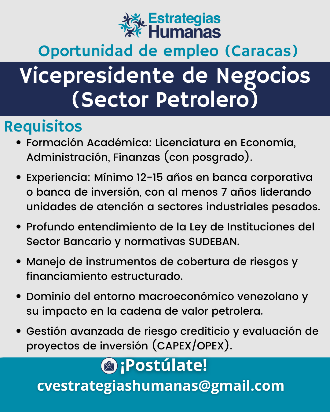Vicepresidente de Negocio Sector Petrolero